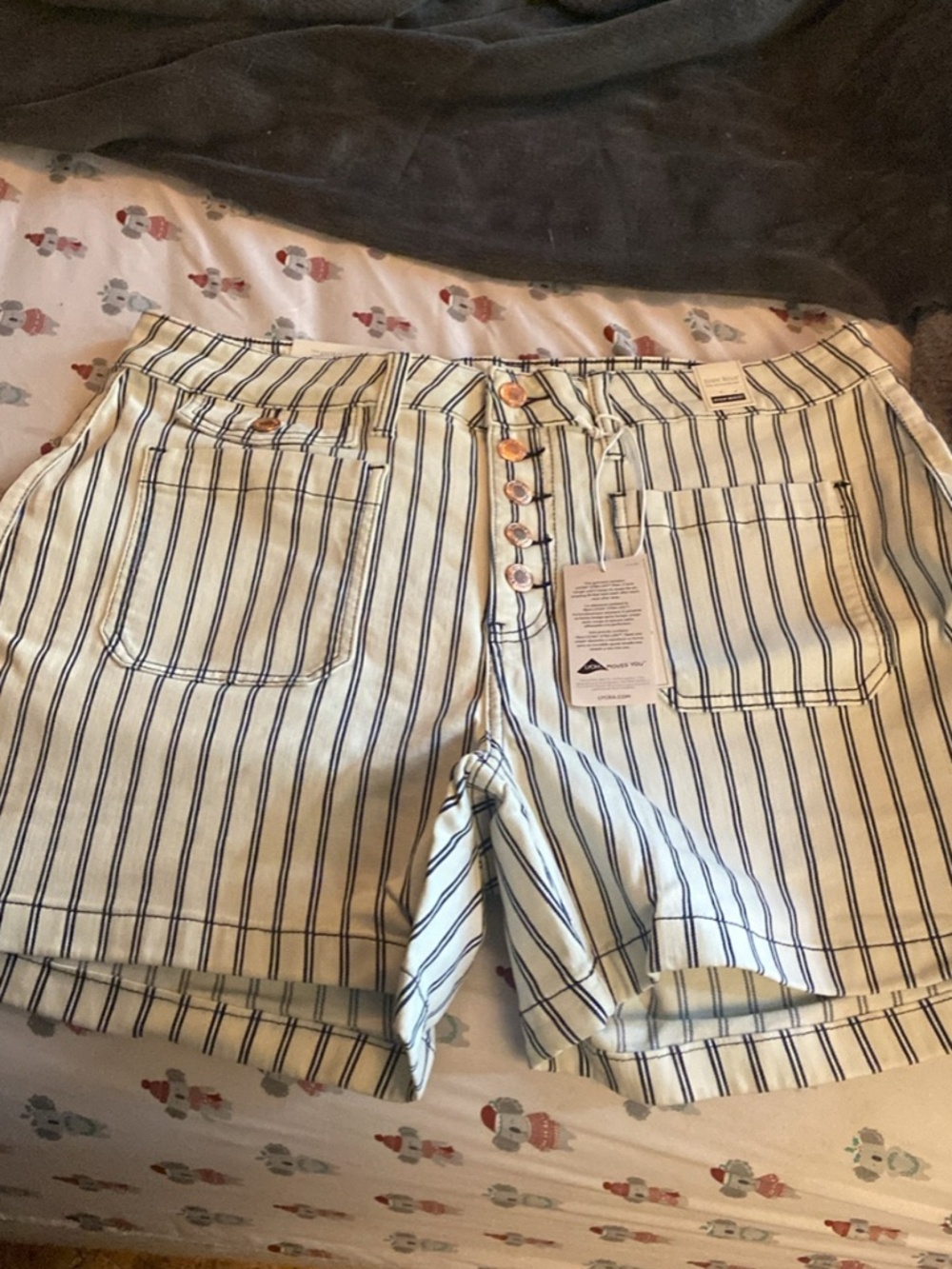 Judy Blue Striped Shorts